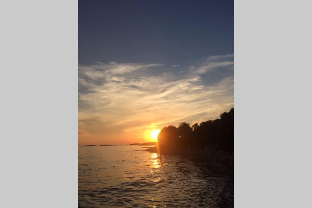 Viva 1 Rovinj Apartment Ngoại thất bức ảnh